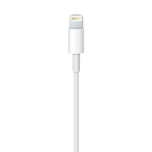 Apple Lightning to USB 1m
