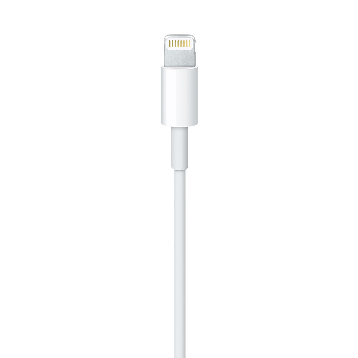 Apple Lightning to USB 1m