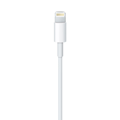Apple Lightning to USB 1m