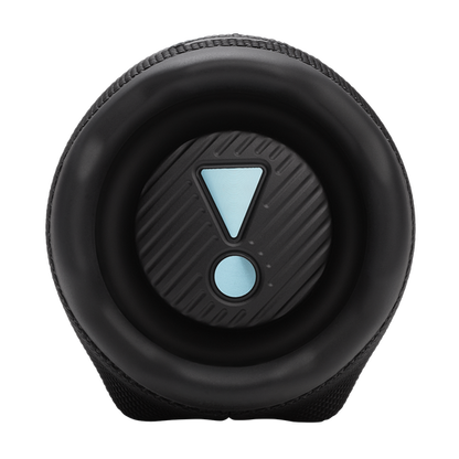 JBL Charge 6 BT Speaker